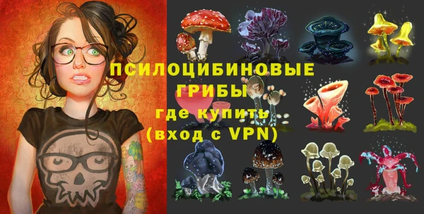 гидропоника Алзамай