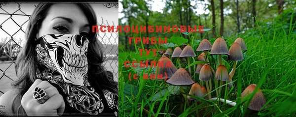 гидропоника Алзамай